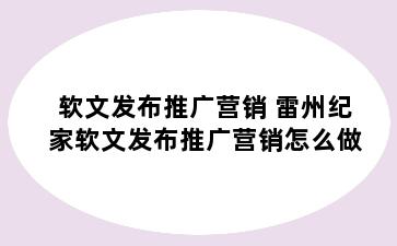 软文发布推广营销 雷州纪家软文发布推广营销怎么做